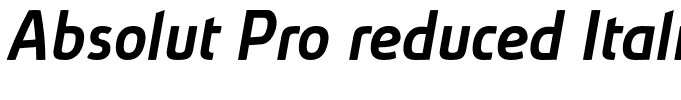 Absolut Pro reduced Italic[3]