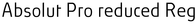 Absolut Pro reduced Regular[1]