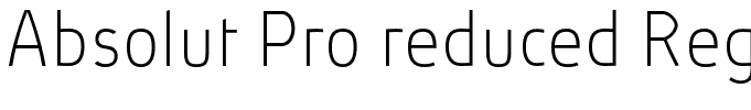 Absolut Pro reduced Regular[3]