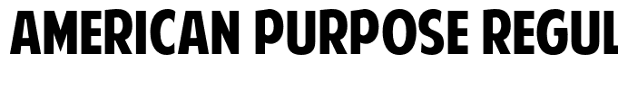 American Purpose Regular