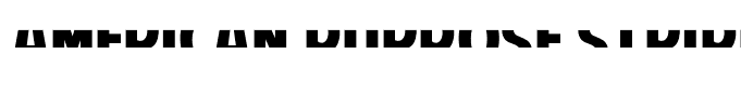 American Purpose STRIPE 1 Bold