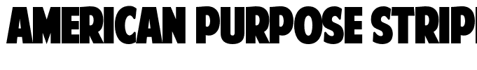 American Purpose STRIPE 1 Regular[1]