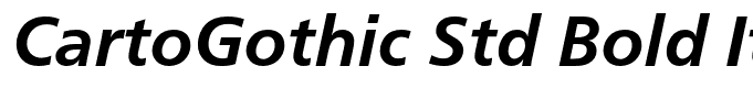 CartoGothic Std Bold Italic