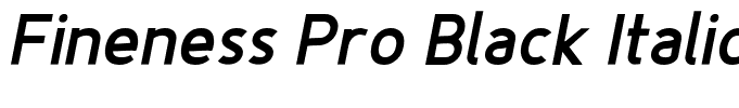 Fineness Pro Black Italic Italic
