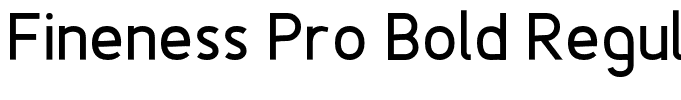 Fineness Pro Bold Regular