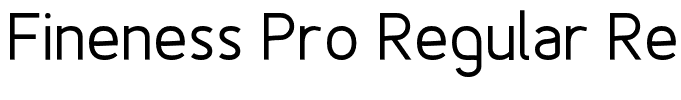 Fineness Pro Regular Regular