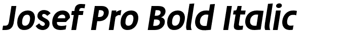 Josef Pro Bold Italic