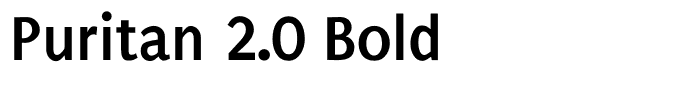 Puritan 2.0 Bold