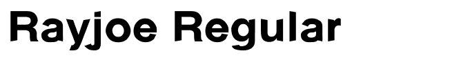 Rayjoe Regular