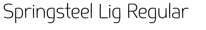 Springsteel Lig Regular