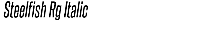 Steelfish Rg Italic