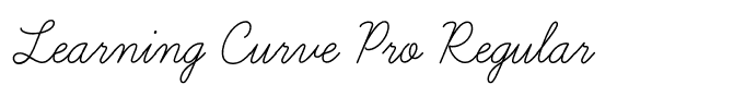 Learning Curve Pro Regular