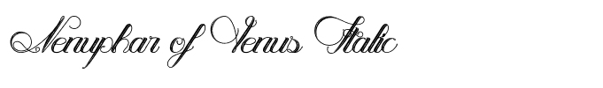 Nenuphar of Venus Italic
