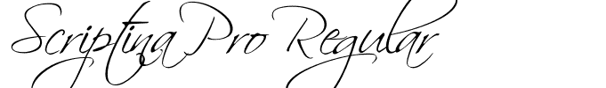 Scriptina Pro Regular