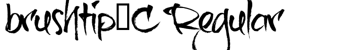 brushtip-C Regular
