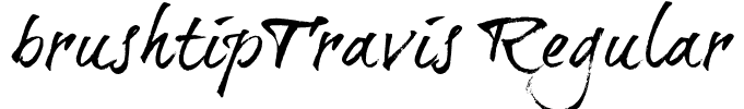 brushtipTravis Regular
