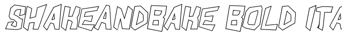 ShakeAndBake Bold Italic