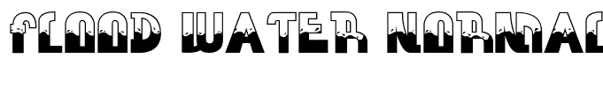 FLOOD WATER NORMAL Regular