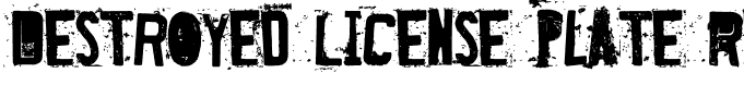 Destroyed License Plate Regular