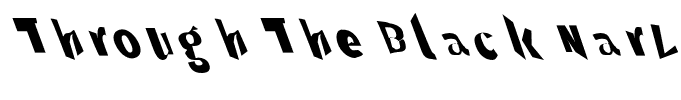 Through The Black NarLefta