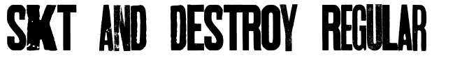 SKT AND DESTROY Regular
