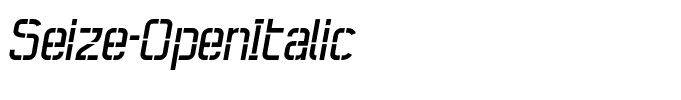 Seize-OpenItalic