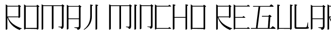Romaji Mincho Regular
