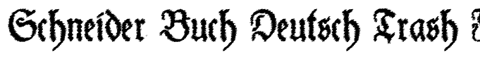 Schneider Buch Deutsch Trash Free Regular