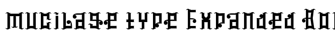 mucilage type Expanded Bold