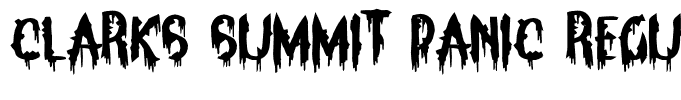 Clarks Summit Panic Regular