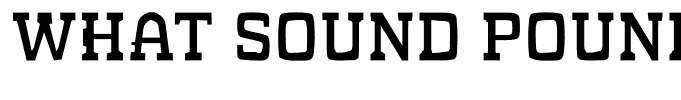 WHAT SOUND POUNDS  Regular