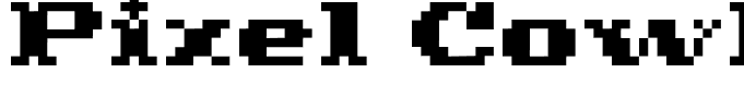 Pixel Cowboy  Regular