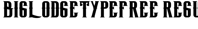 BigLodgeTypeFree Regular