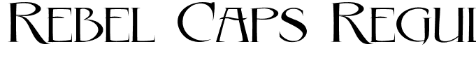 Rebel Caps Regular