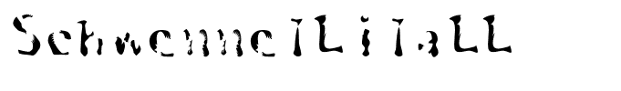 SchwennelLilaLL