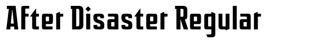 After Disaster Regular