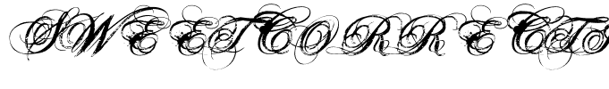 SWEETCORRECTION ROTH Regular