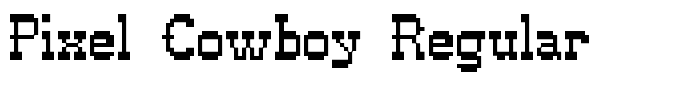 Pixel Cowboy Regular