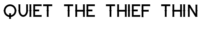 Quiet the Thief Thin