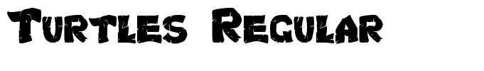 Turtles Regular