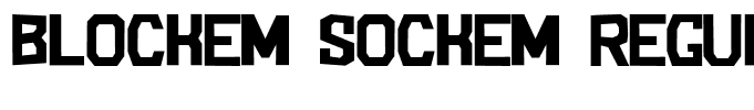 Blockem Sockem Regular