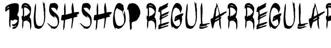 brushshop regular Regular