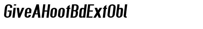 GiveAHootBdExtObl