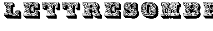 Lettresombreesornees