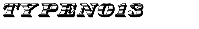 TypeNo13