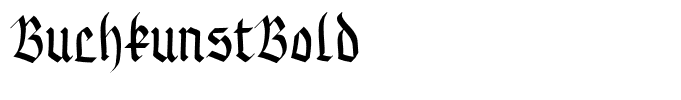 BuchkunstBold