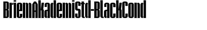BriemAkademiStd-BlackCond