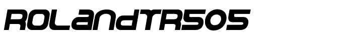 RolandTR505