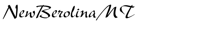 NewBerolinaMT
