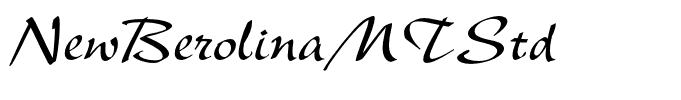 NewBerolinaMTStd
